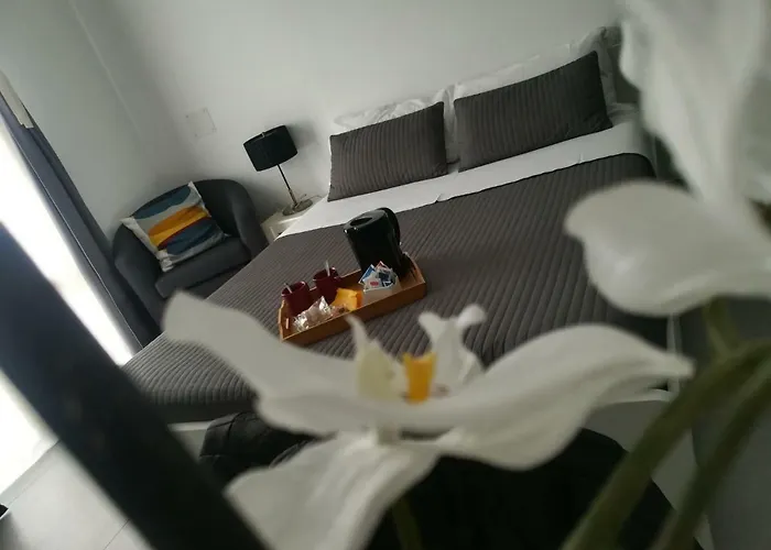 Roda Barocco 4* נוטו
